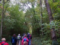 2016-10-21 Les coteaux de Lardy 0028